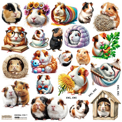 Stickers paper - ScrapLove - Guinea Pig
