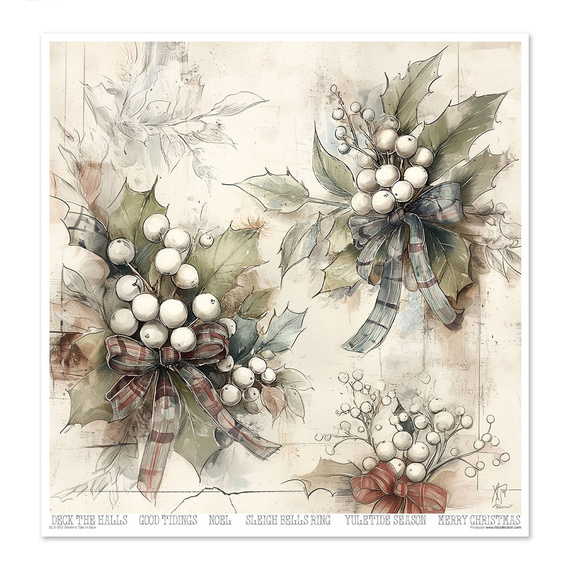 Set of scrapbooking papers 30x30 - Winter's Tale in blue