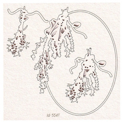 Chipboard oval frame small - Herbal Phoenix