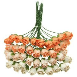 40 MIXED PEACH/ORANGE TONE HIP ROSEBUDS