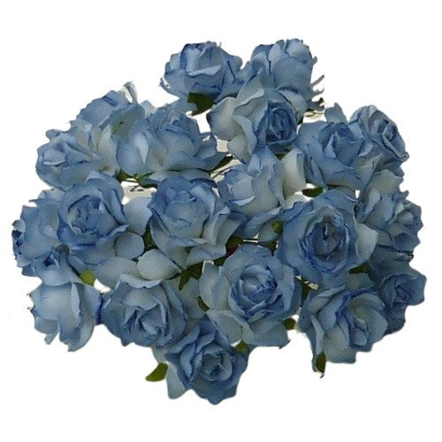 50 2-TONE BLUE MULBERRY PAPER WILD ROSES 1¼" (30mm)