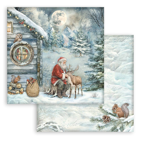 Set of 30x30 scrapbooking papers - Stamperia - The Owl's House