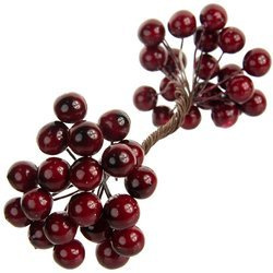  Dark red berries of mountain ash