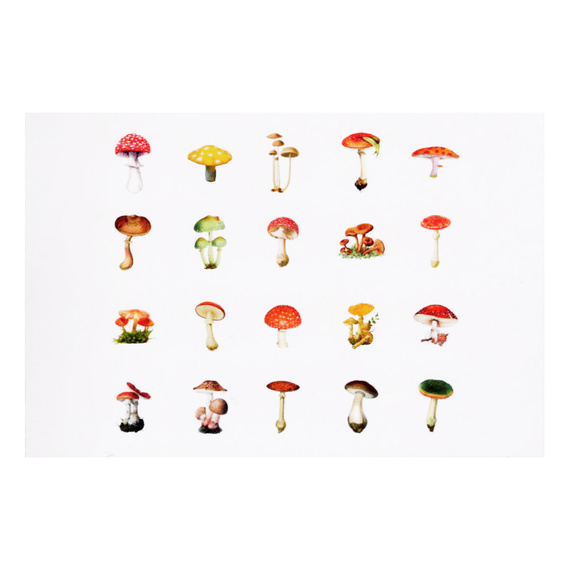 Stickers foil - Mushrooms - 40pcs.