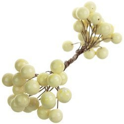 Cream berries of mountain ash