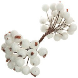 Frosted white berries of mountain ash