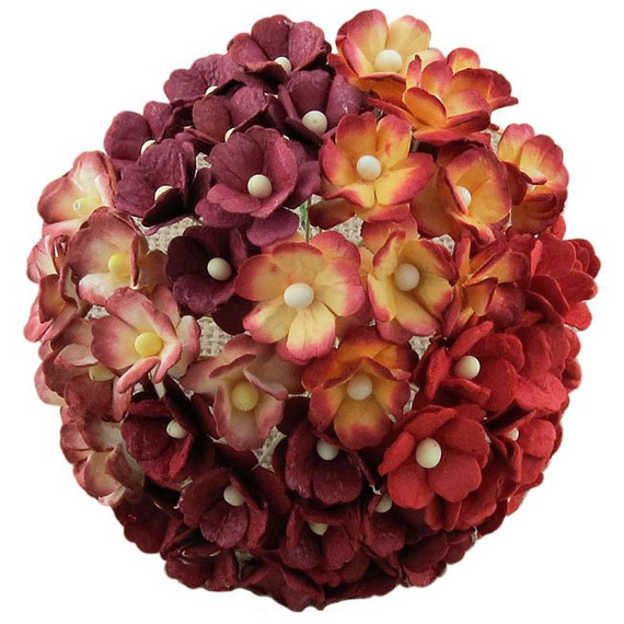 100 MIXED RED SWEETHEART BLOSSOM