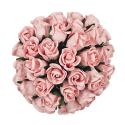 50 PALE PINK HIP ROSEBUDS