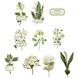 Stickers foil - Green flowers and labels