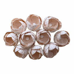 50 PALE PEACH MULBERRY PAPER BUTTERCUPS
