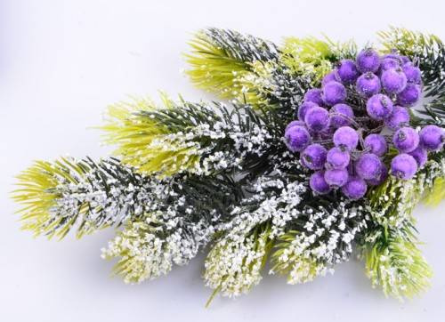 Frosted lilac berries of mountain ash