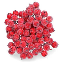 Frosted red berries of mountain ash