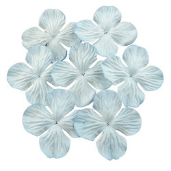 100 PALE BLUE HYDRANGEA BLOOMS 50MM
