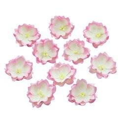 2-TONE BABY PINK/IVORY COTTON STEM MULBERRY PAPER FLOWERS - SET E