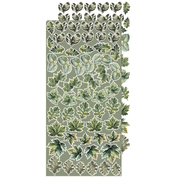 Time scrapbooking accessories set - Craft o'clock - All Leaves 04 - MIX