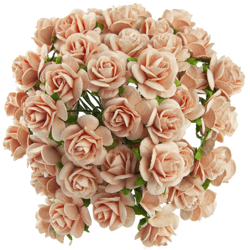 50 PEACH MULBERRY PAPER OPEN ROSES 25 MM