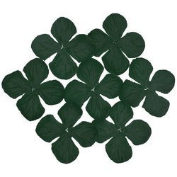 50 FERN GREEN HYDRANGEA BLOOMS - 2" (50mm)