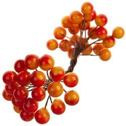 Berries of mountain ash