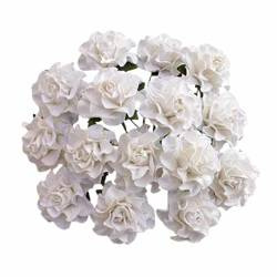 20 WHITE TUSCANY ROSES - 35mm (1⅜")