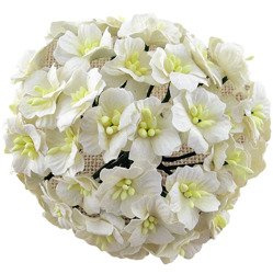 50 WHITE MULBERRY PAPER APPLE BLOSSOMS