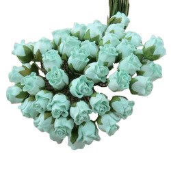 50 PASTEL GREEN HIP ROSEBUDS