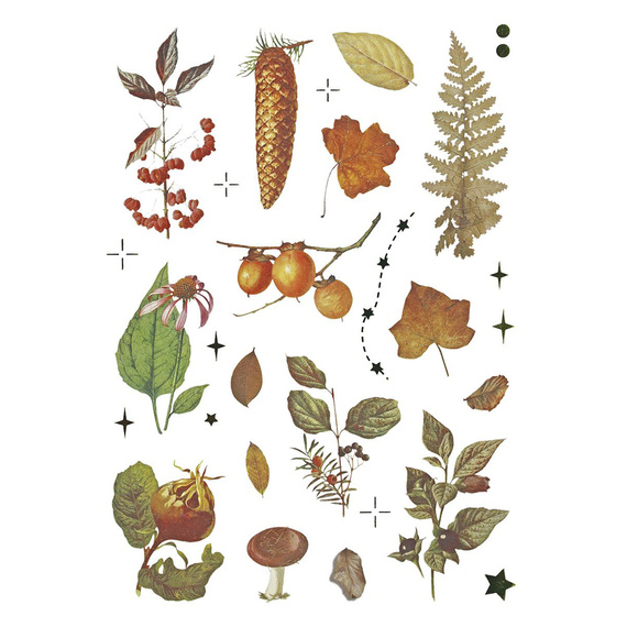 Stickers foil - Mushrooms, cones, leaves