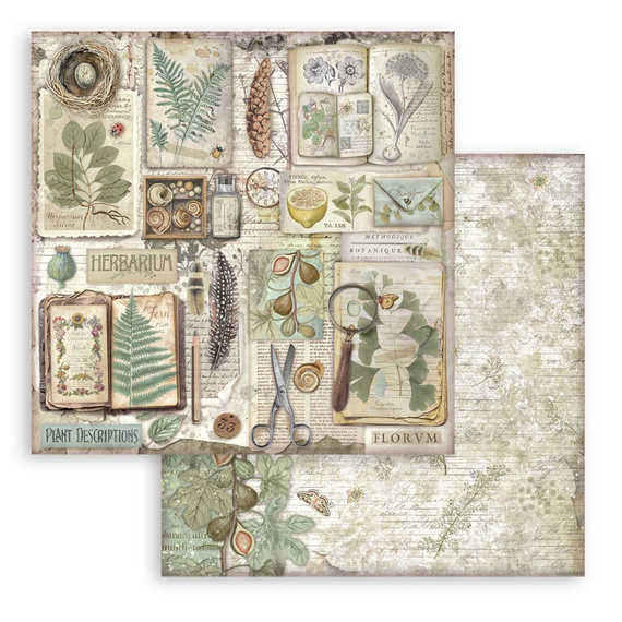 Scrapbooking Craft Papier Set 20x20 - Stamperia - Herbarium Silvae
