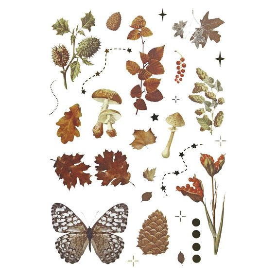 Stickers foil - Mushrooms, cones, leaves