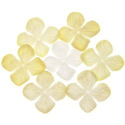 100 MIXED WHITE/CREAM & IVORY TONE HYDRANGEA BLOOMS 50MM