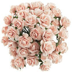 50 PEACH PUFF MULBERRY PAPER OPEN ROSES 25 MM