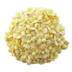 100 MINIATURE CREAM SWEETHEART BLOSSOM FLOWERS