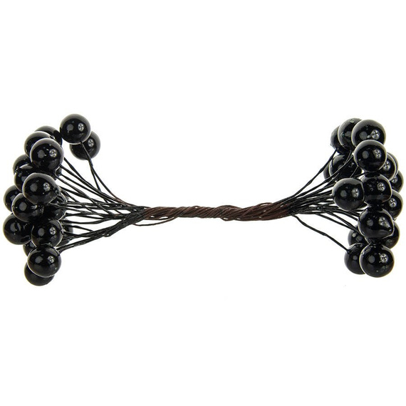 Black berries of mountain ash