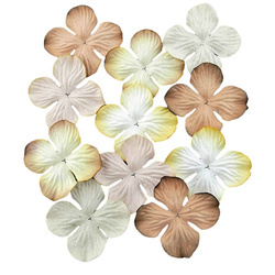 100 MIXED EARTH TONE HYDRANGEA BLOOMS 35MM