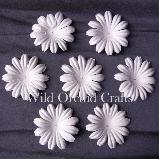 100 FOUNDATION WHITE BLOOMS (5cm / 2")