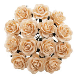 25 PALE PEACH MULBERRY PAPER TRELLIS ROSES 35mm