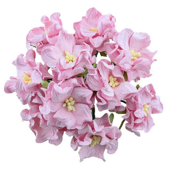 25 BABY PINK GARDENIAS 35mm