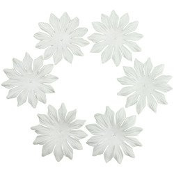 100 FOUNDATION WHITE BLOOMS (4,5cm / 1,75")