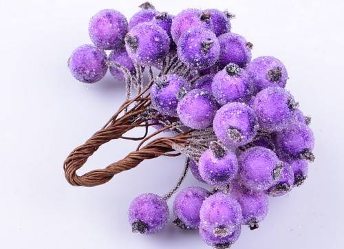 Frosted lilac berries of mountain ash