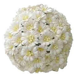 50 WHITE COSMOS DAISY STEM FLOWERS