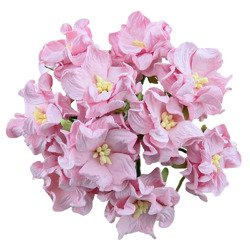 25 BABY PINK GARDENIAS 35mm