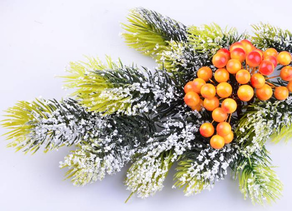 Berries of mountain ash