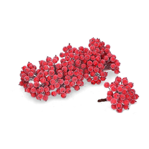 Frosted red berries of mountain ash