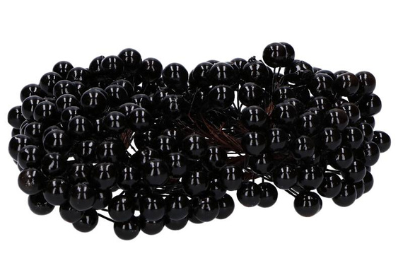 Black berries of mountain ash