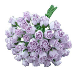 50 LILAC HIP ROSEBUDS