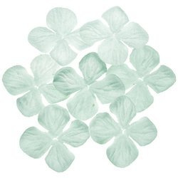 100 AQUA HYDRANGEA BLOOMS 50MM