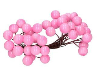 Pink berries of mountain ash