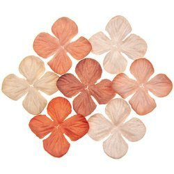 100 MIXED PEACH/ORANGE TONE HYDRANGEA BLOOMS 35MM