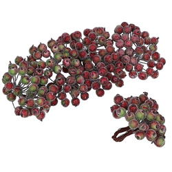 Frosted red-green berries of mountain ash