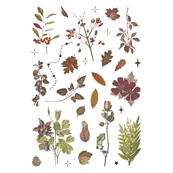 Stickers foil - Mushrooms, cones, leaves
