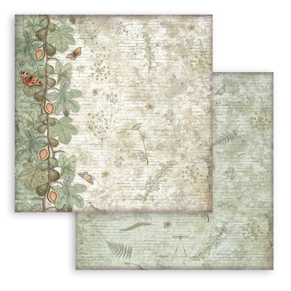 Scrapbooking Craft Papier Set 20x20 - Stamperia - Herbarium Silvae backgrounds